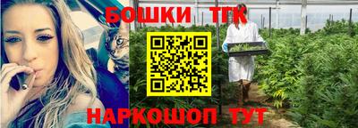 мдпв Обь