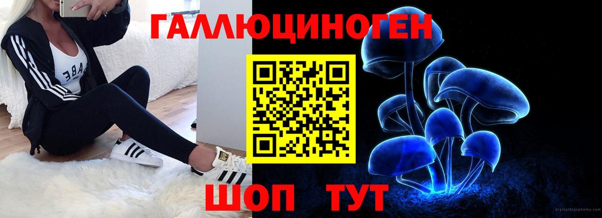 Галлюциногенные грибы прущие грибы  Галлюциногенные грибы ЛСД  Саранск  Вход с VPN 